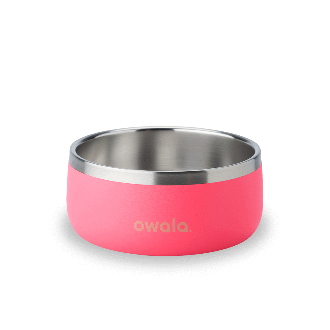 Pet Bowl UR95
